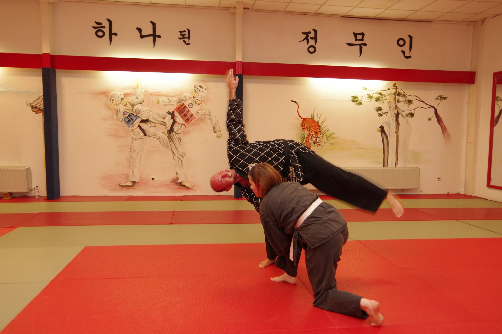 Hapkido Training